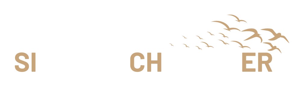 Simone Schweitzer Coaching